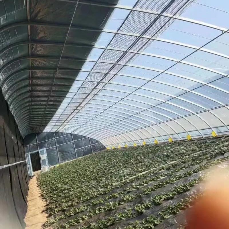 Greenhouse Internal Shading System