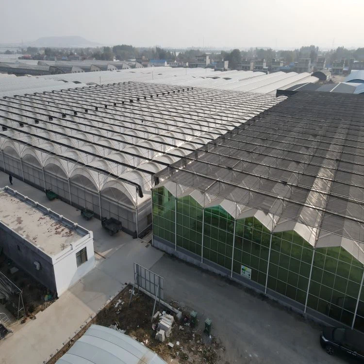 Multi Tunnel Greenhouse
